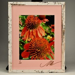 MICHAEL RAY Original Vintage Signed Long Island NY Floral Still Life Photograph