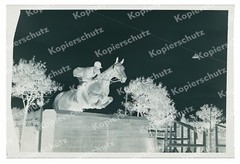 or. 6×9 Negativ Fritz Tiedemann Pferd Meteor Spingreiten Turnier Hindernis 1953
