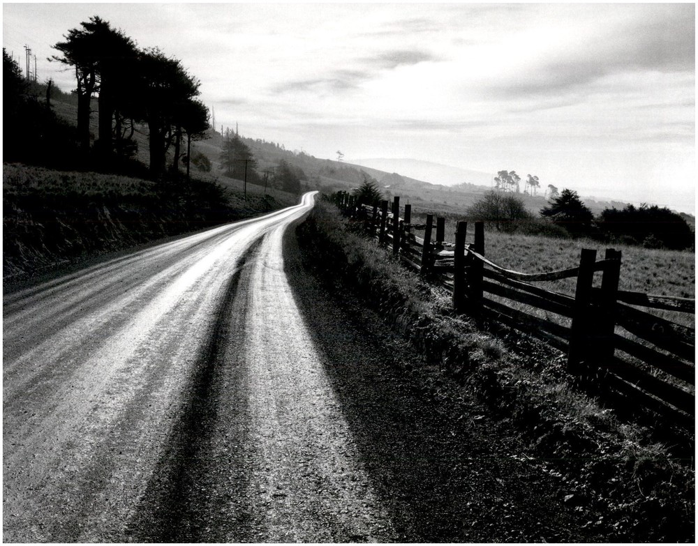 1960 1990s Ansel Adams Northern California Road After Rain Large Art Photo