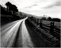 1960 1990s Ansel Adams Northern California Road After Rain Large Art Photo
