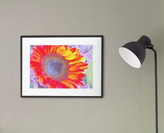SUNFLOWER, 4×6 » MATTED AND FRAMED PRINT, READY TO HANG, GREAT FOR GIFTGIVING