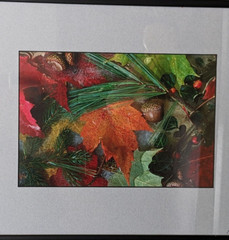 Fall Montage 176 Framed Photography Print Artist Signed Autumn