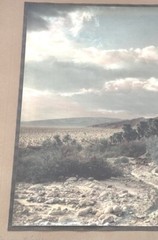Lg VTG J.M. Garrison Hand Tinted Oil Color Photo Palm Canyon 15.5”x21.5” VGC