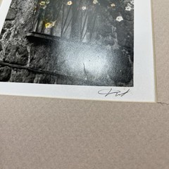 Maureen Love Signed 51/350 Original Art Print «La Luce» (The Light) 10.5 x 19