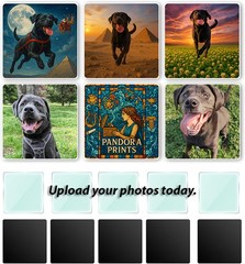 Personalized Glass Photo Magnets | Capture Memories in Crystal Clarity