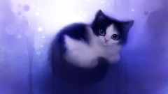 100 Amazing Mixed Desktop Computer Backgrounds Wallpaper Bundle Pack 343