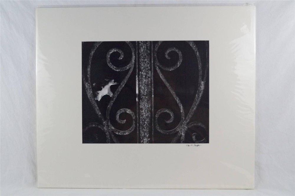 Black & White Photography Urban Art Wrought Iron Detail 20×24