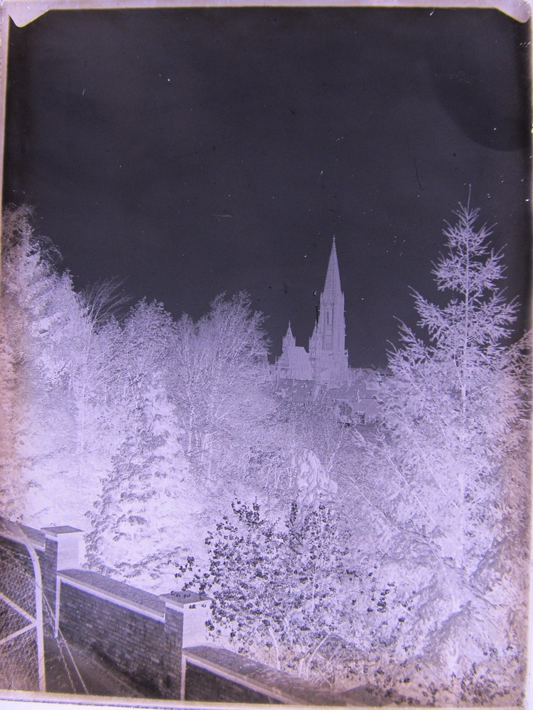 Freiburg Münster from Schloßberg around 1900 Large Hist. Glass Negative