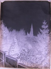 Freiburg Münster from Schloßberg around 1900 Large Hist. Glass Negative