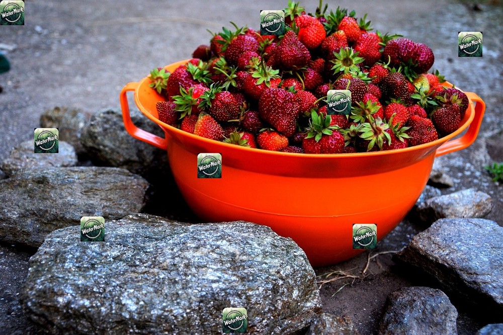 Digital Art photo virtual gift- e-product abowl full of strawberries, stones ++