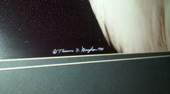 Thomas D Mangelsen set of 3 prints signed & #’d dated1981
