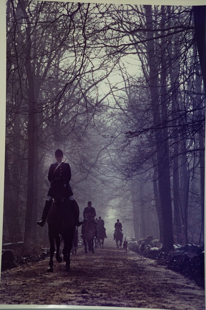 Analog Photo France Hunting Hound Horse Horn 24X30CM 1970