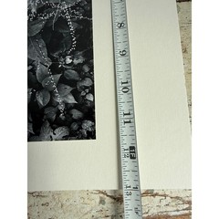 Black and White Botanical Fine Art Print Nature Photography Textured Paper 2939