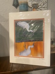 John Martell Art Photograph Print Matted Signed “ Morning Light” Whooping Crane
