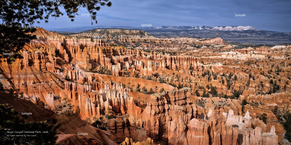 Bryce Canyon National Park Utah Hoodoos Red Rock Poster Photo Print BR03