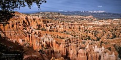 Bryce Canyon National Park Utah Hoodoos Red Rock Poster Photo Print BR03