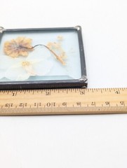 Vintage Beveled Pressed Flower Glass Leaded Lead Small Wall Art Moth Butterfly