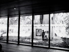 Gisela Franke Berlin Gallery Art Reflection Tree Photography 1980s