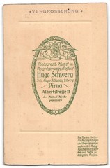 Photograph Hugo Schwerg, Pirna, Alberststraße 13, confessed gentleman in portrait