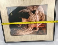 Johnny Johnson Bear Photograph Signed Numbered Vintage