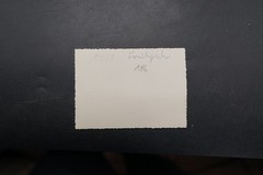 Photo Portrait Young Woman Mother Toddlers Babies Twins 1971 Regensburg Picture