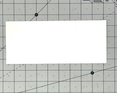 Walker Evans 1996 Art Announcement Card – Domestic Exteriors