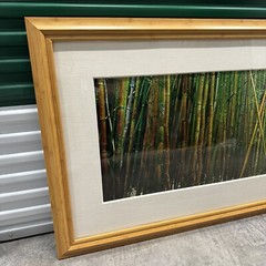 Peter Lik «Bamboo» 1.5M Framed Picture SOLD OUT – With COA