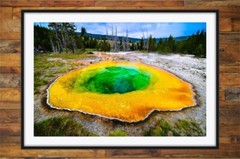 Morning Glory Pool in Yellowstone National Park, Wyoming, Photography Prints
