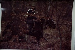 Analog Photo France Hunting Hound Horse 24X30CM 1970
