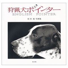 Photo Collection of Pointer Hunting Dogs by Isamu Omura