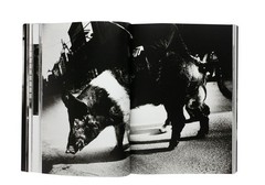 Daido Moriyama Memories of Light Photographer Photo Art Collection Book