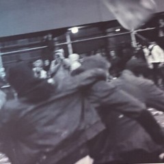Janine Gordon Photograph 60″x24″ C-print Edition Grid Bike Kill Signed Fine Art
