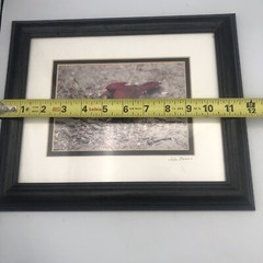 Cardinal Framed Photography Print 7”x5” Matted Framed 12”x10” 2001 Signed