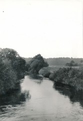 Old negative & photo 2724 Hellwege approx. 6x8cm collection resolution-ms4915h