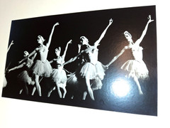 NYC Ballet Swan Lake in Rochester, NY 1978 Ballerina 6X10″ Gelatin Silver Photos