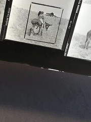 NEWLY FOUND! Hendrickson PHOTO Contact Sheet Proof & Negatives GIRLS RIDE DONKEY