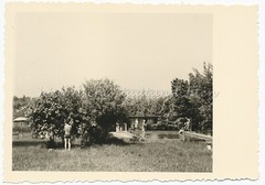 Sonnenberg in Lower Saxony? Outdoor Pool Bathing Leisure Pool Vintage Photo 1950s