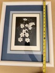 ANSEL ADAMS Dogwood Yosemite Special Edition Gelatin Silver Print Matted Only