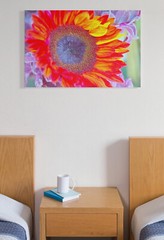 SUNFLOWER, 4×6 » MATTED AND FRAMED PRINT, READY TO HANG, GREAT FOR GIFTGIVING