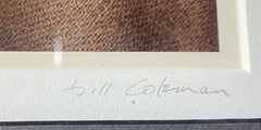 Notable Bill Coleman photograph Amish 19. Signed, # 312, framed & matted.