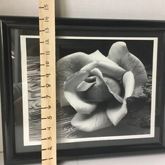 ANSEL ADAMS Art Photo ROSE and DRIFTWOOD 1932 Still Life 17×14 Inches