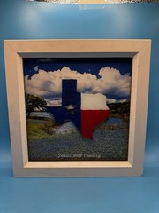 Texas Hill Country Bluebonnet Wall Art Hand Painted Glass Frame 10×10 Decor