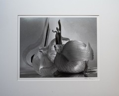 Original signed photograph by Alan Ross