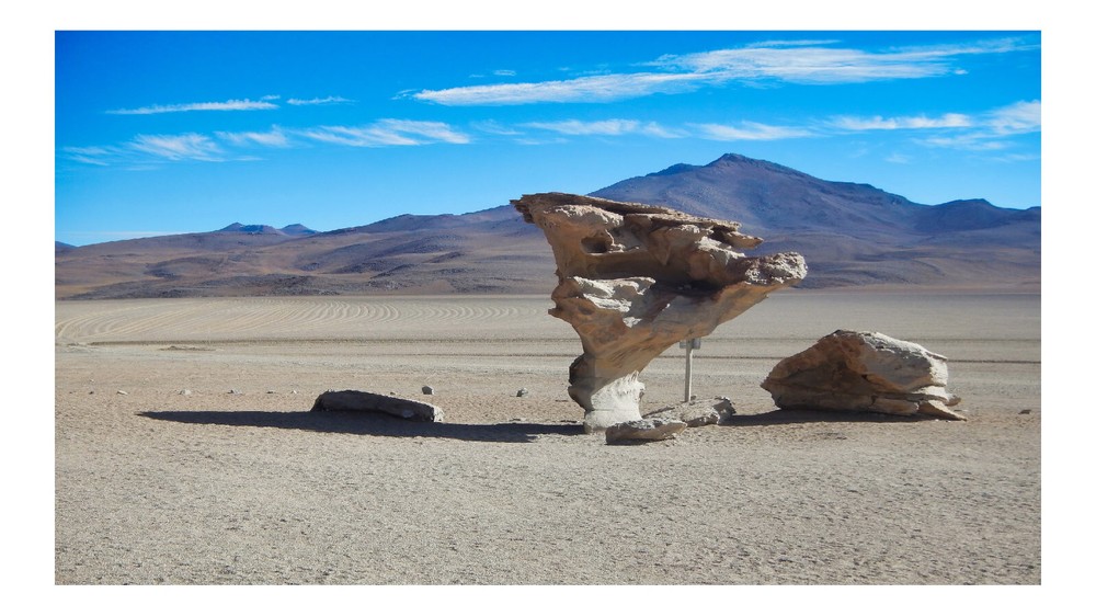 Rock Tree in Uyuni Desert, High Resolution Image, Many Formats, TV Art