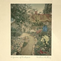 Wallace Nutting A Garden Of Larkspur Hand Tinted Colored Photo Signed Framed