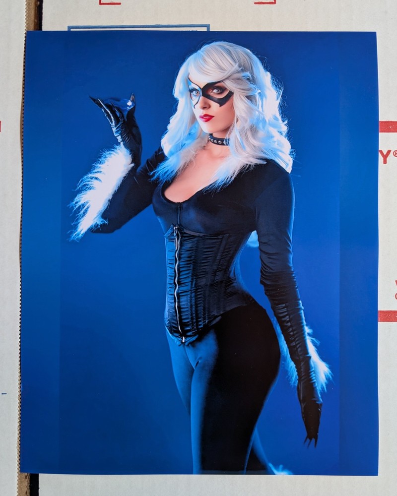 Vixence 8×10 Photo Print Sexy Cosplay Model Picture Black Cat Spider-Man