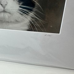 Vintagew Black & White Cat Photo Print (Signed)