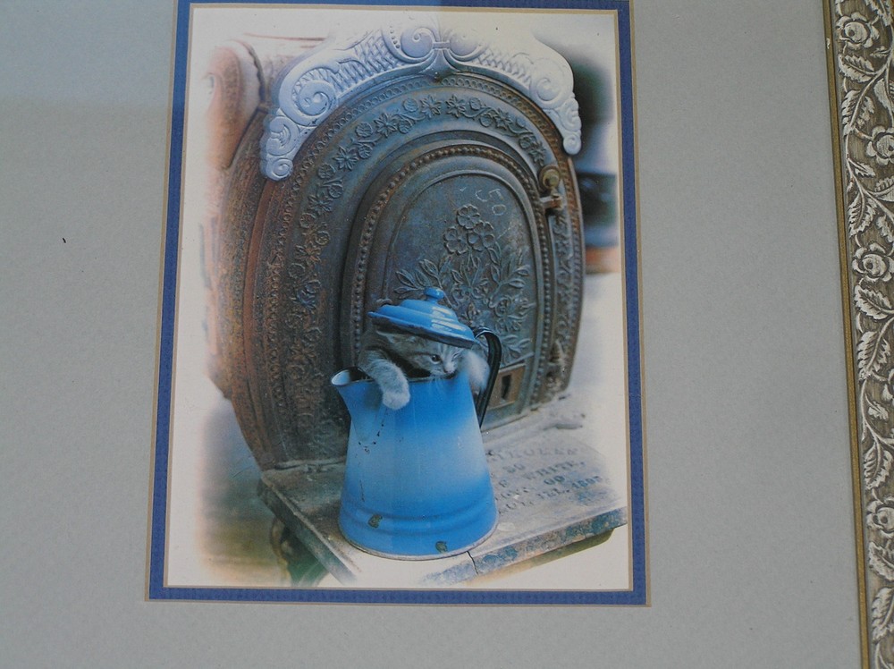 Gray Kitten Photograph w Antique Blue Enamel Coffee Pot Framed in Rose & Leaf