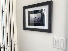 SAILFISH Baitball Signed Chris Doherty 5×7 B/W Photo | Matted & Framed 16.5×13.5