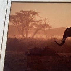 Kenja Sundown Ltd #48 Photography-Framed LE Print-“waitin’ D.K Langford
